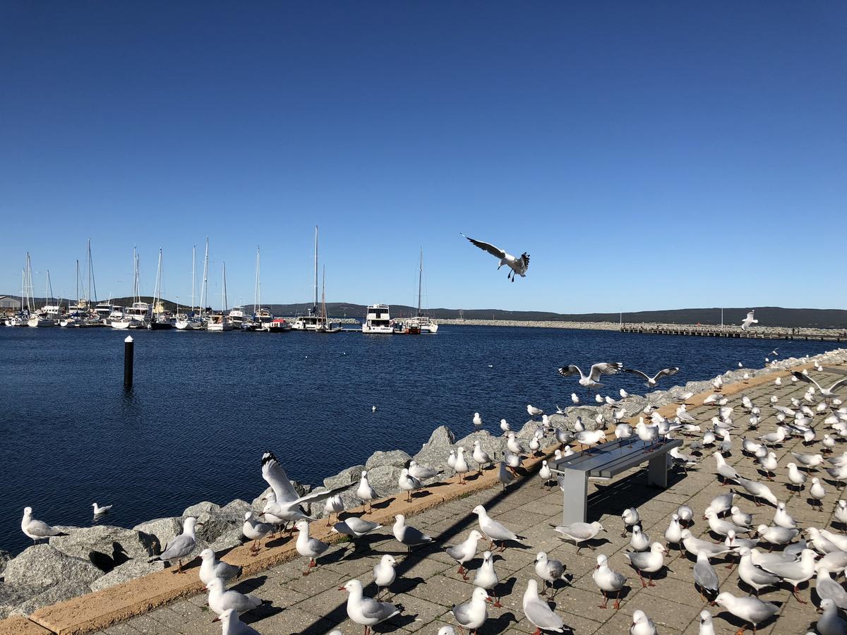 Albany Foreshore Guest House Dış mekan fotoğraf