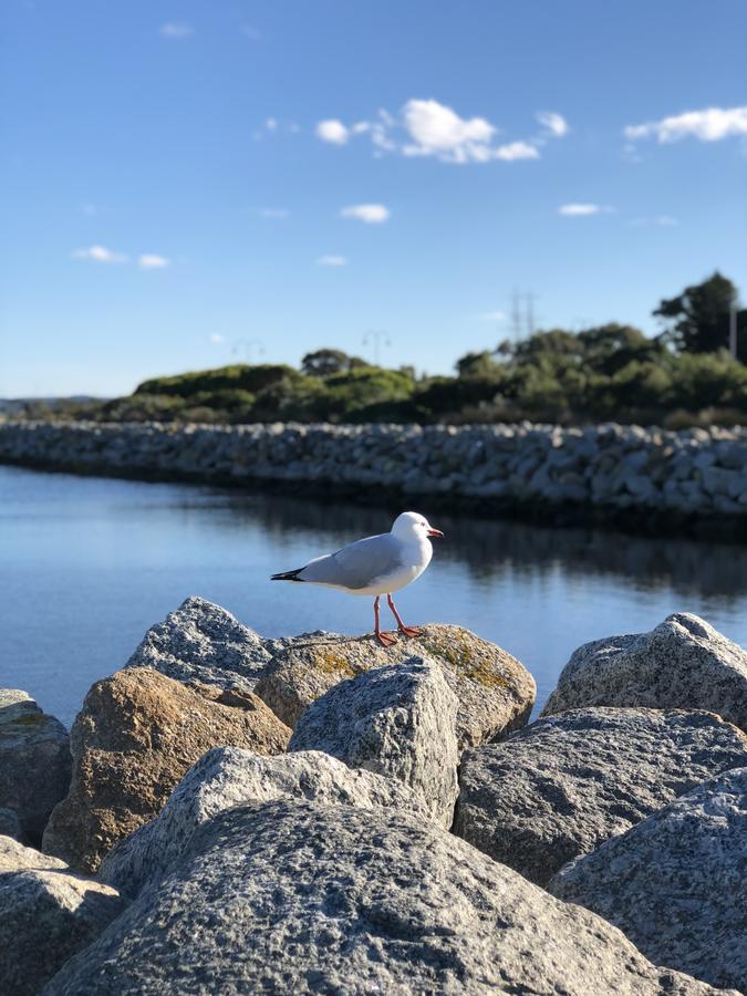 Albany Foreshore Guest House Dış mekan fotoğraf